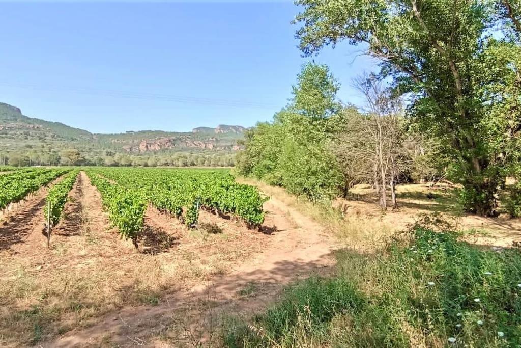 Superbe Villa Cadre Campagne Roquebrune-sur Argens Zewnętrze zdjęcie